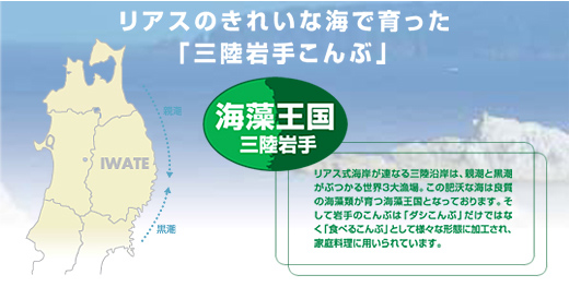 リアスのきれいな海で育った「三陸岩手こんぶ」 海藻王国三陸岩手