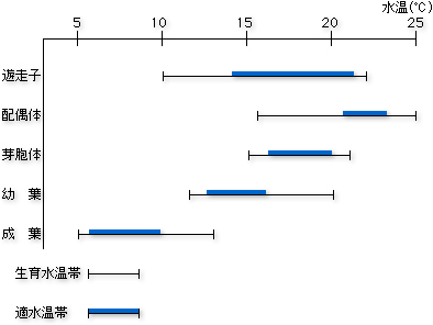 生育水温帯・適水温帯